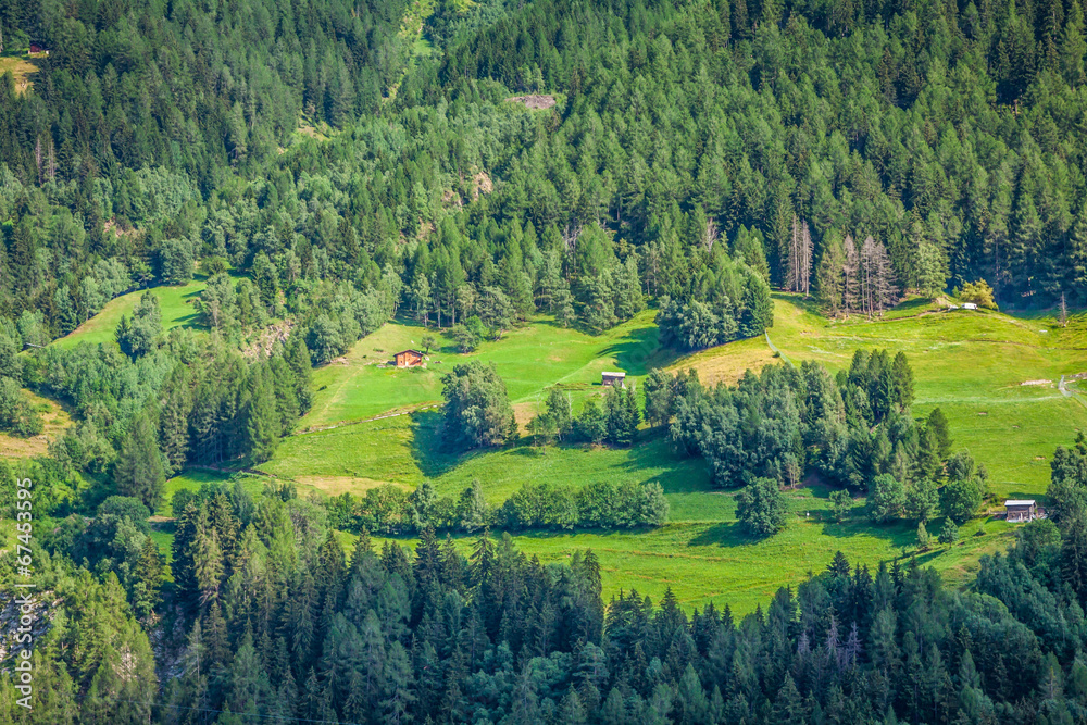 Summer mountain landscape around Gletsch, Switzerland