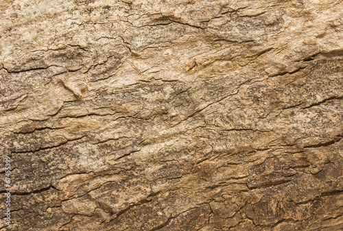 Background Texture of Weathered Wooden Beam With a Knot