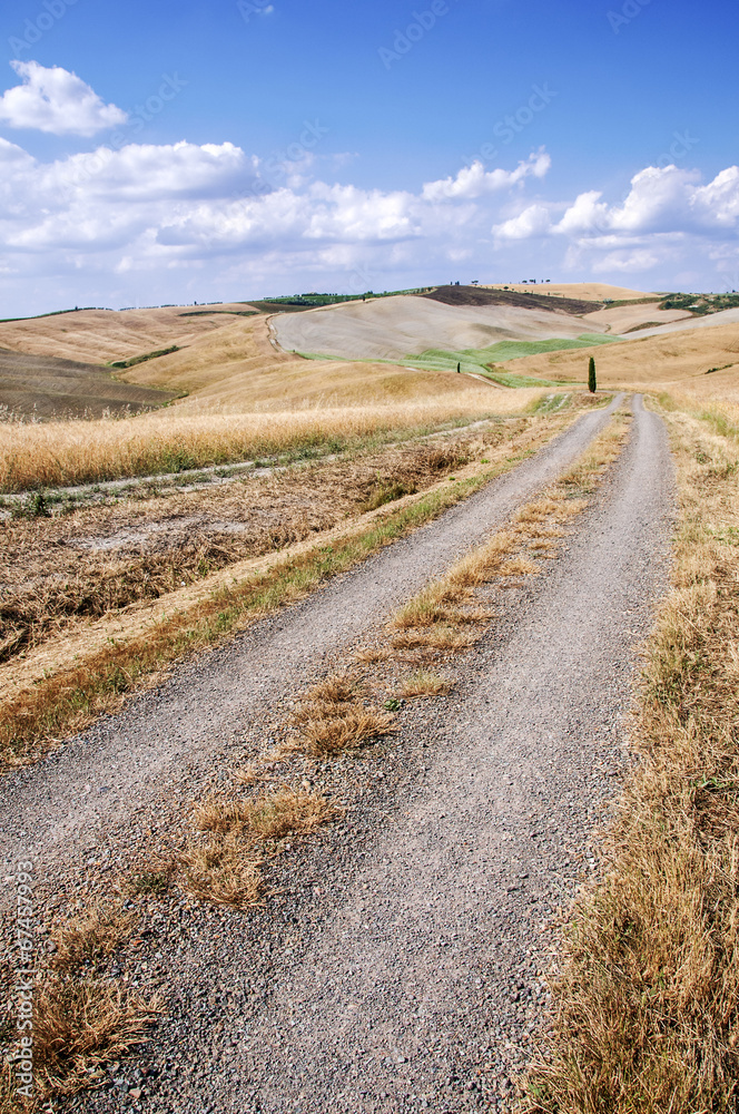Naklejka premium Strada sterrata nella campagna toscana