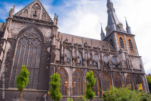 the Cathedral of St. Louis