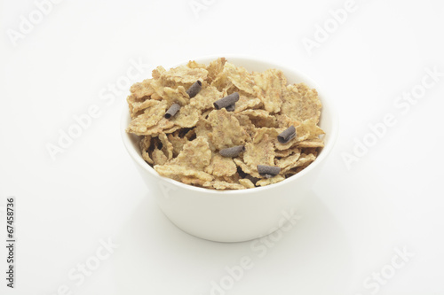 Cereales para desayuno
