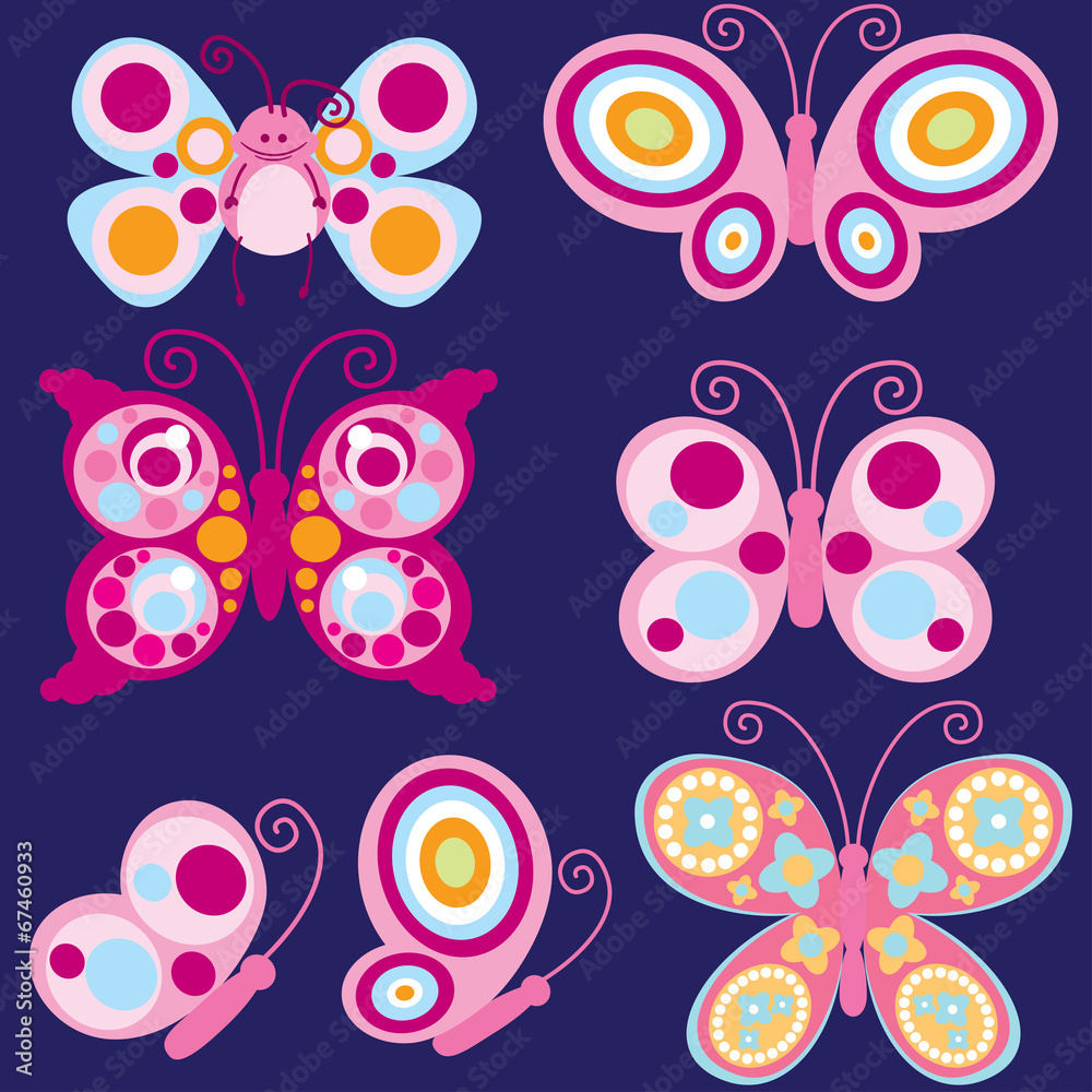 butterfly butterfly