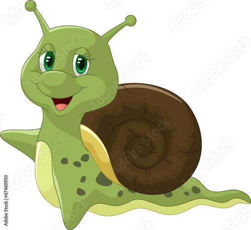 Snail cartoon