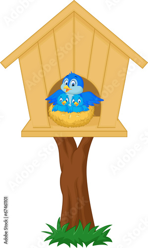 Mother bird with her two babies in the nest