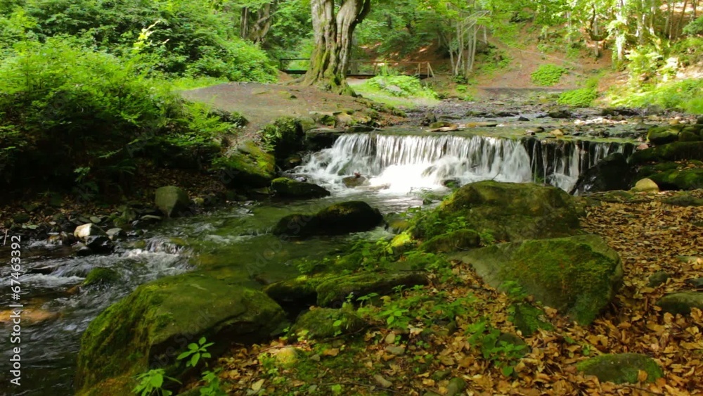 beautiful cascade comes out of a forest river beautiful cascade comes out of a forest river