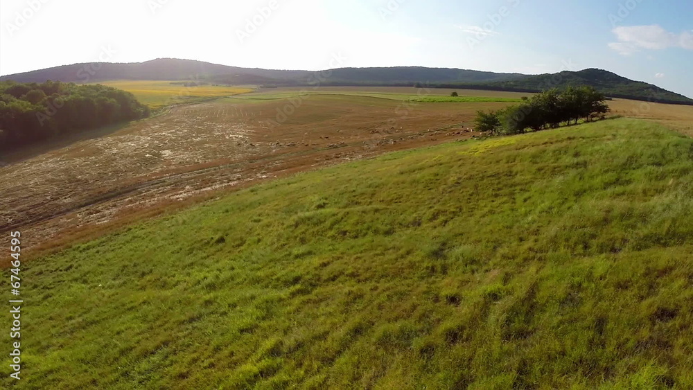 Aerial view of grazing animals on fertile land Aerial view of grazing animals on fertile land