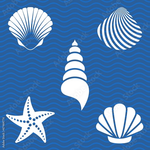 Sea shells