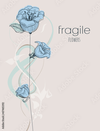 Delicate flowers background