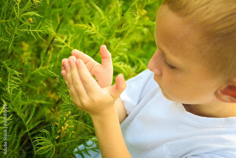 Child playing on meadow examining field flowers Child playing on meadow examining field flowers