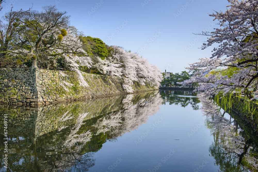 Castle Outer Moat in Hikone, Japan