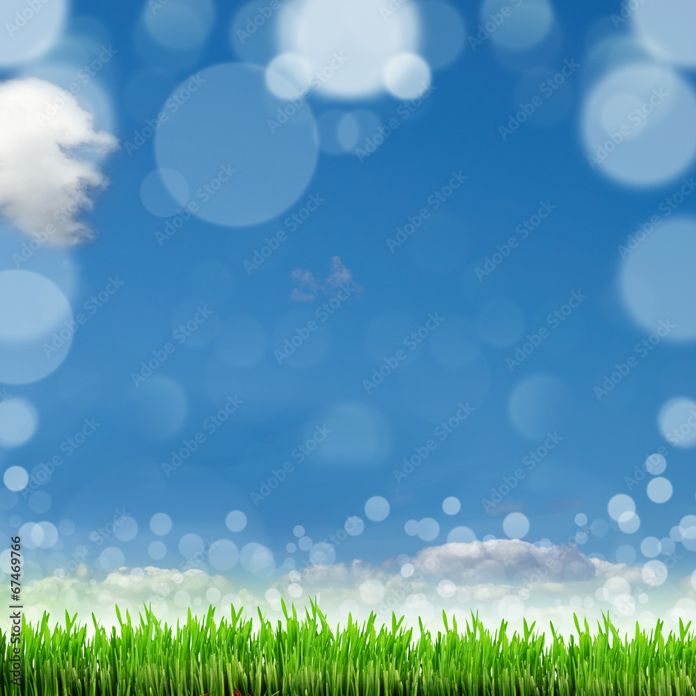 Spring nature background with grass and blue sky in the back