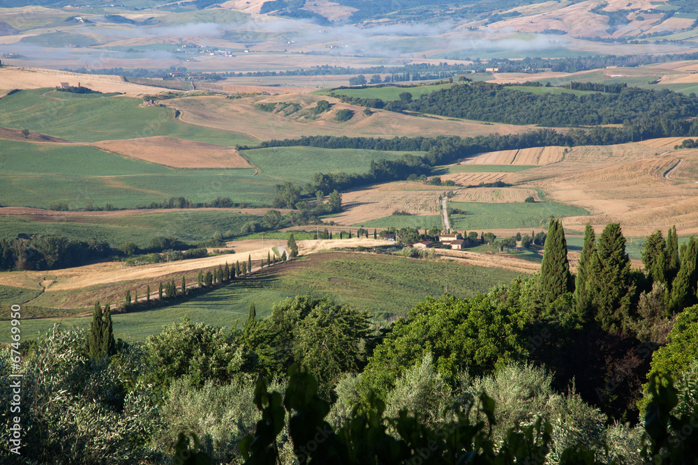 Naklejka premium Tuscany bales