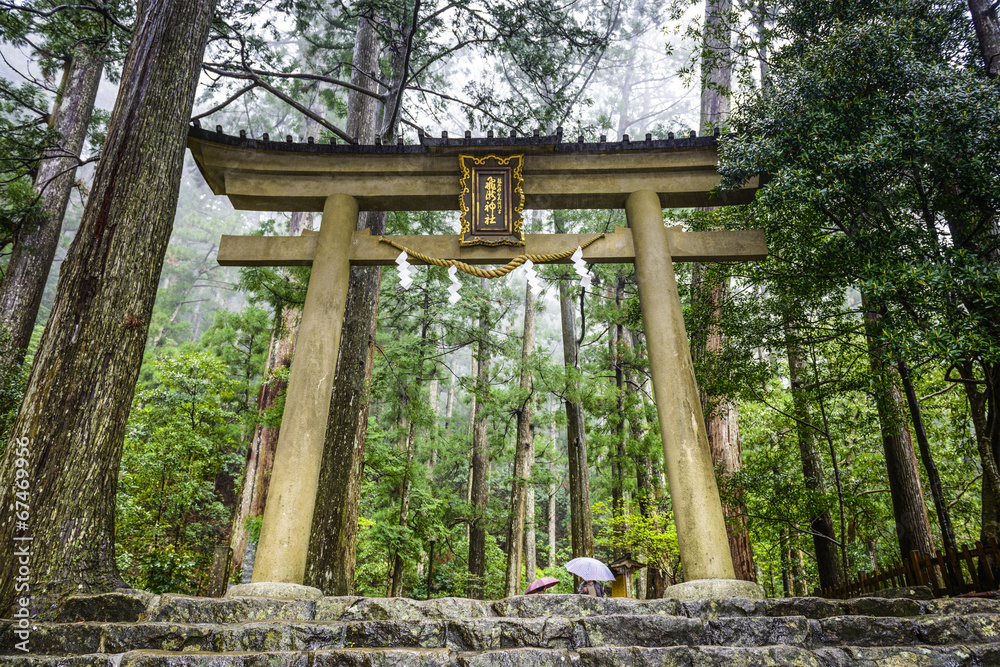 Fototapeta premium Kumano Sacred Trail in Wakayama, Japan