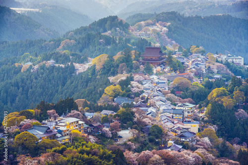 Yoshinoyama, Japan © SeanPavonePhoto