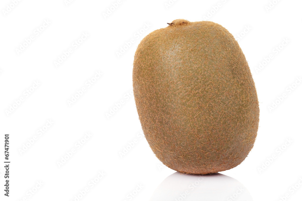 Kiwi fruit isolated on white background Kiwi fruit isolated on white background