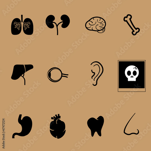 Organs vector health care set
