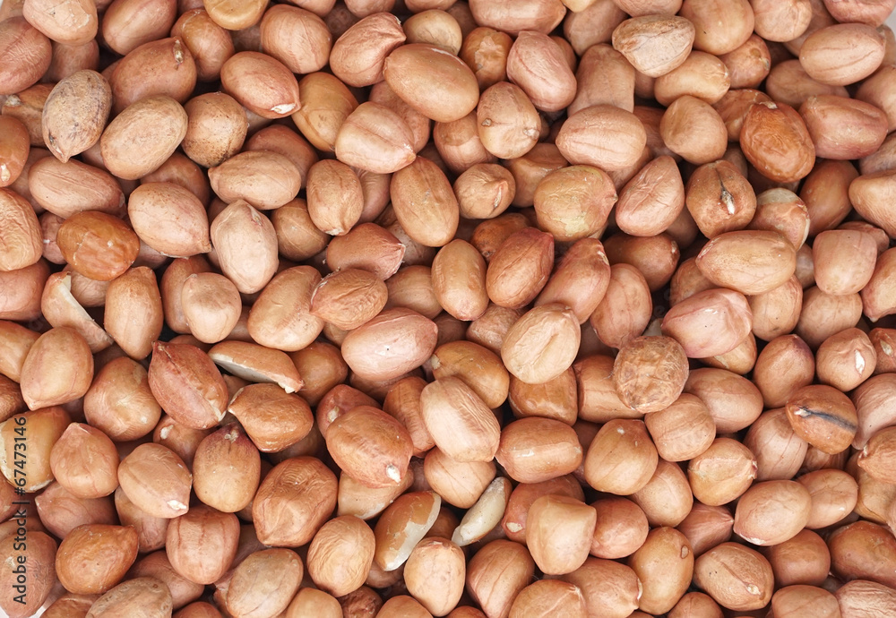 nut background nut background