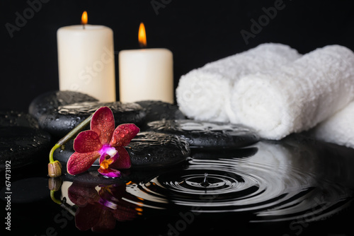 spa concept of zen stones with drops  purple orchid  phalaenopsi