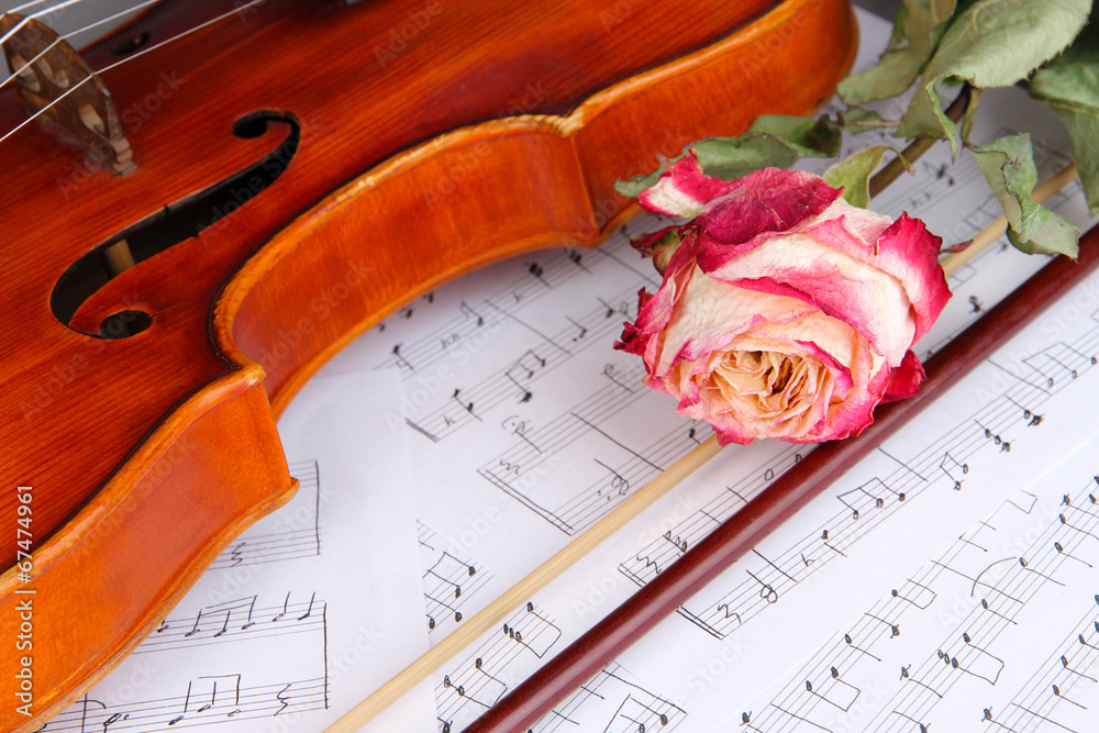 Fototapeta premium Classical violin on notes