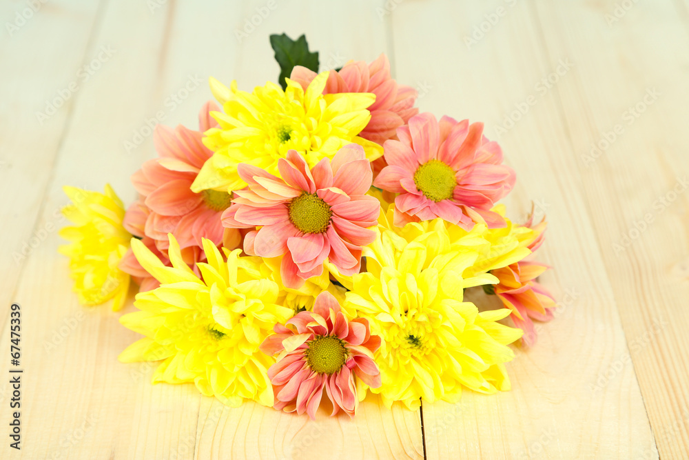 Chrysanthemum flowers on wooden table close-up Chrysanthemum flowers on wooden table close-up