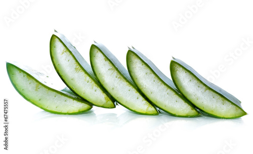 aloe vera fresh leaf. isolated over white