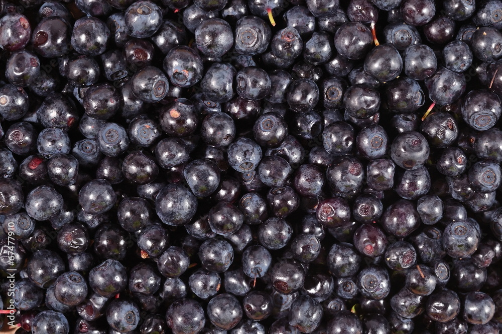 Blueberries fruit background Blueberries fruit background