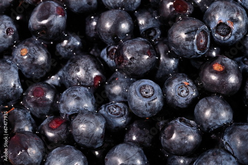 Blueberries fruit close up