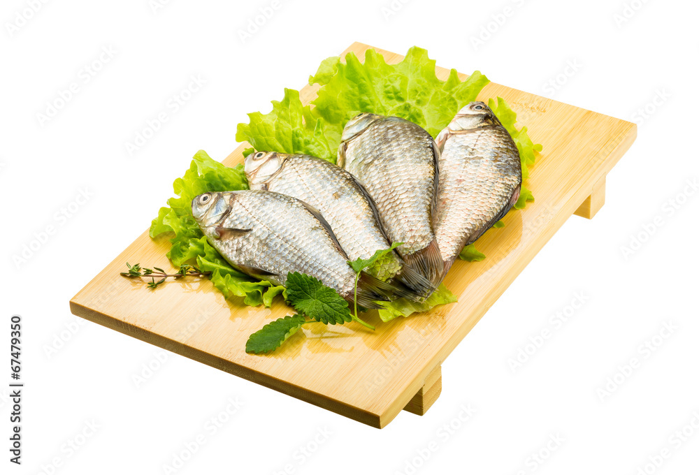 Crucian fish Crucian fish