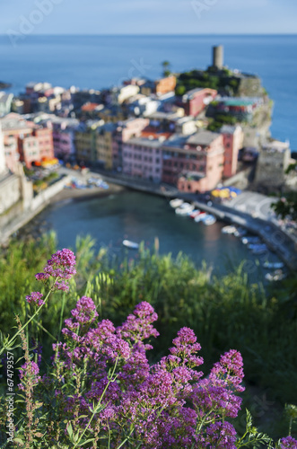 Flower with village background in Vernazza, Cinque Terre, Italy