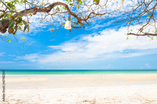 Trees and Beach