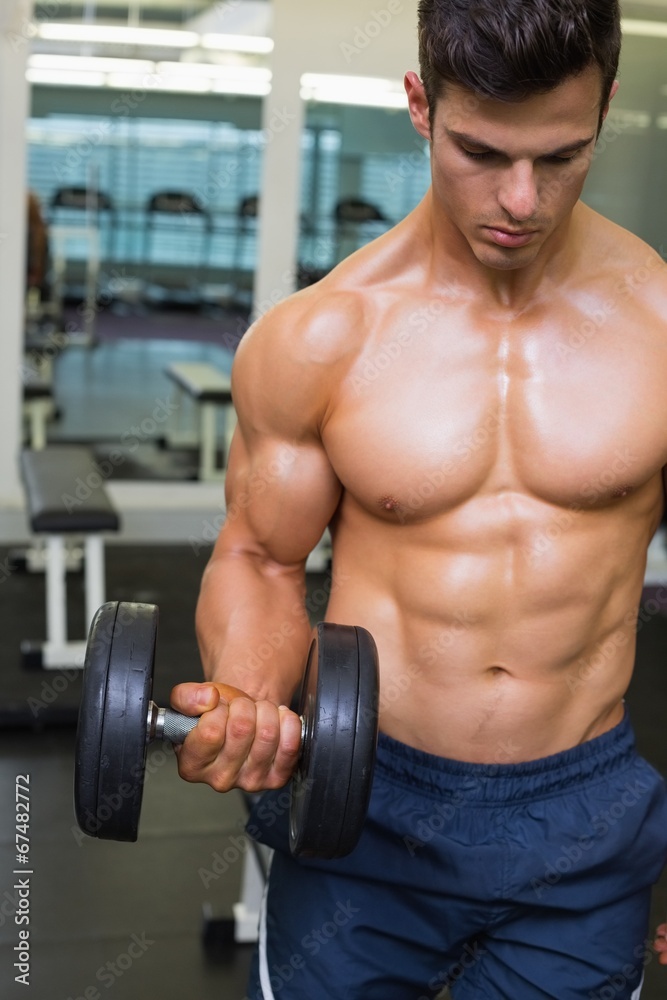 Muscular man exercising with dumbbell in gym