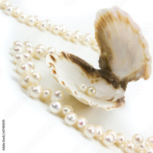 Perlenkette aus der Muschel