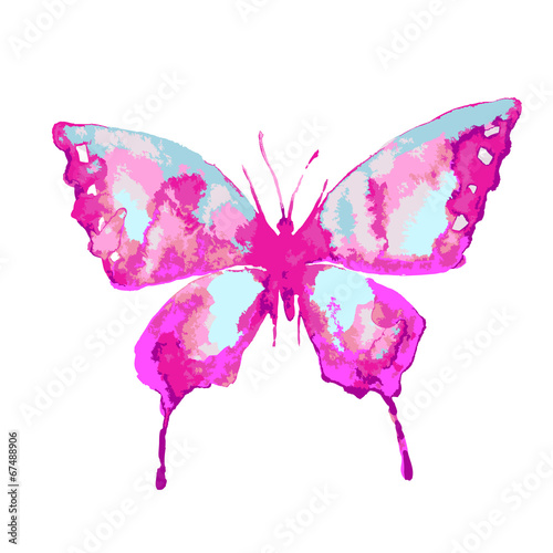 butterflies design