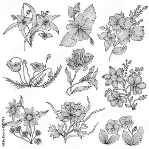 Fototapeta Naklejka Na Ścianę i Meble -  decorative flowers