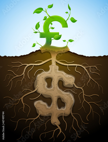 Growing pound sign like plant with leaves and dollar like root photo