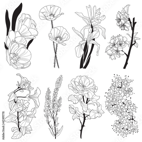 Fototapeta Naklejka Na Ścianę i Meble -  decorative flowers