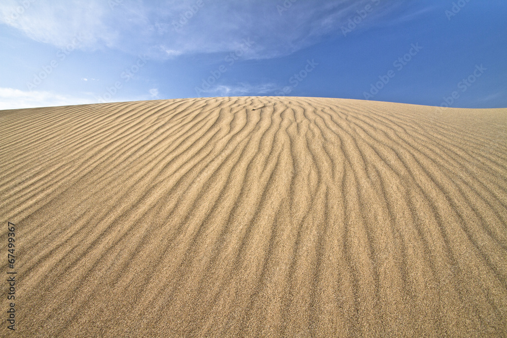 Naklejka premium desert