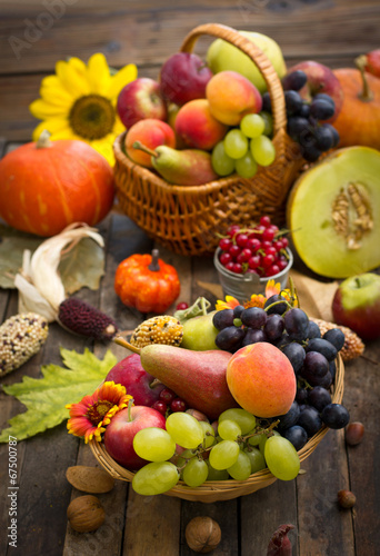 Fototapeta Naklejka Na Ścianę i Meble -  Autumn harvest - fresh fruits in the basket