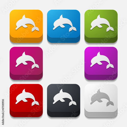 square button: dolphin