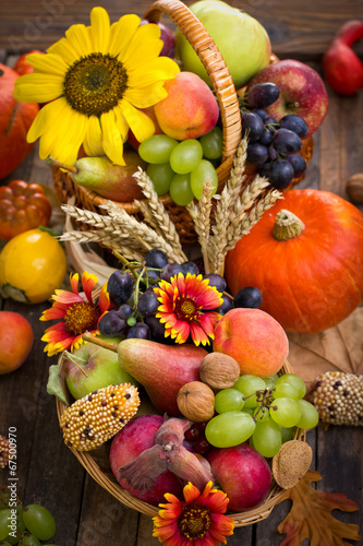 Fototapeta Naklejka Na Ścianę i Meble -  Autumn harvest - fresh fruits in the basket