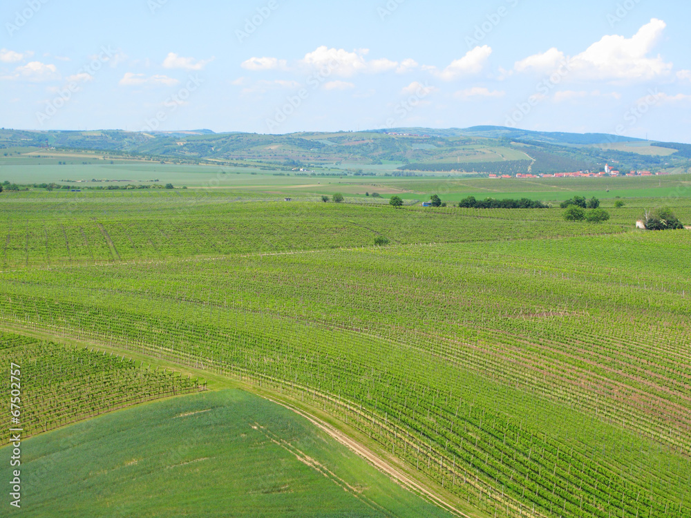 Vineyards and fields in South Moravia, Czech republic.