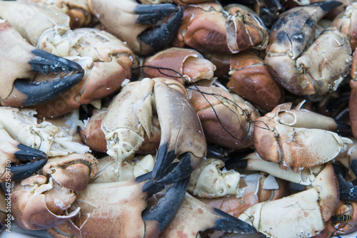 Crab and crab claws as sea food