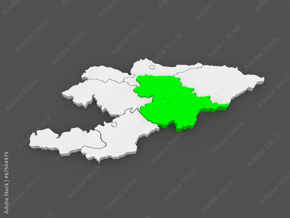 Fototapeta premium Map of Naryn. Kyrgyzstan.