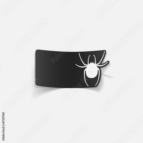 realistic design element: spider