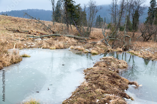 beavers lake photo