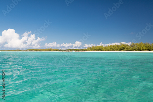 blue sea or ocean  beach and forest