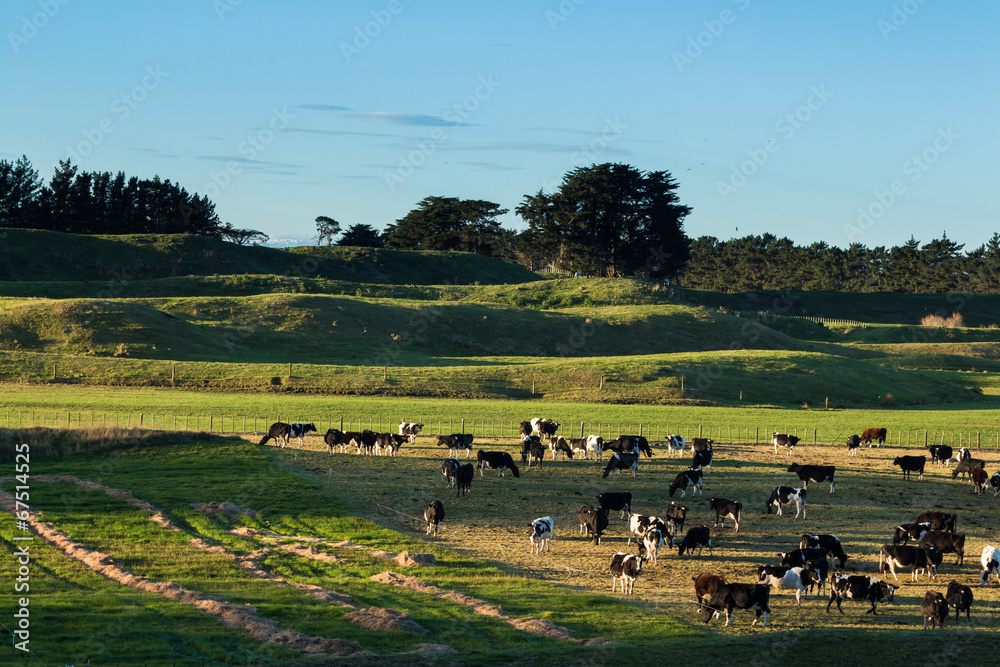 Winter Farming Management