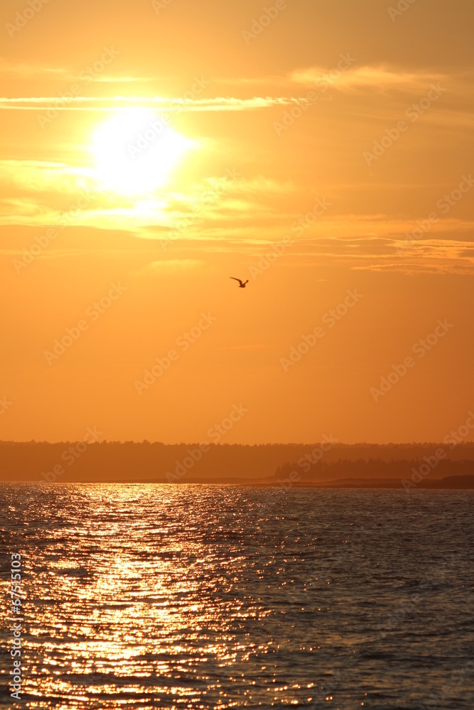 ocean sunset maine coast ocean sunset maine coast