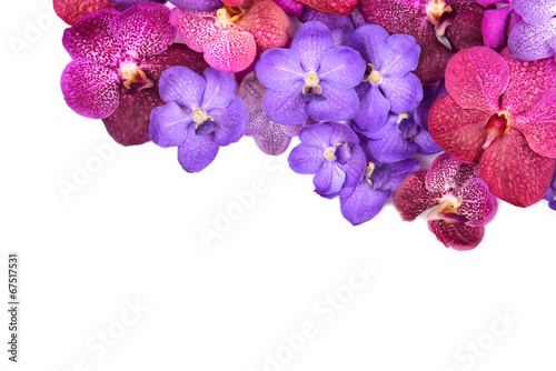 Fototapeta Naklejka Na Ścianę i Meble -  beautiful blooming orchid