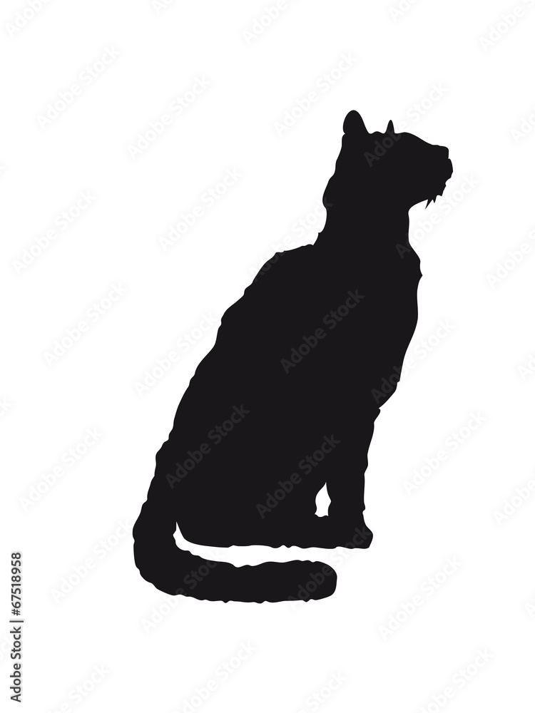 Sitzende brave Katze Sitzende brave Katze